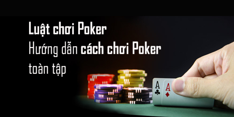 Cách chơi Poker đơn giản, dễ hiểu nhất